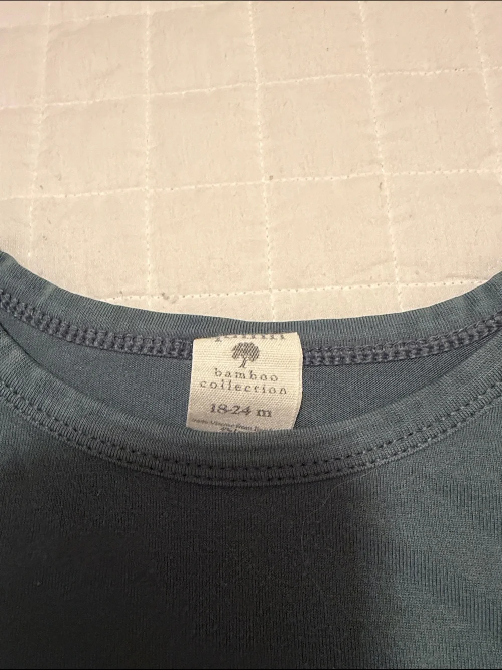 Kate Quinn Otter Print Shorts and Tee